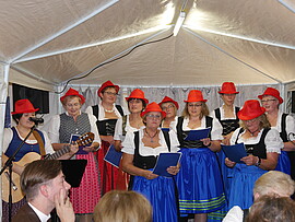 Banner Heurigen Abend