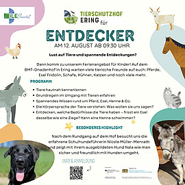 Banner Tierschutzhof Ering für kleine Entdecker