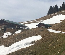 Banner Vortrag: Alpsommer- Sennerin auf der Schweitzer Alp