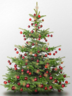 Logo Christbaumversteigerung